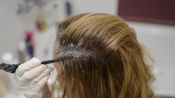 Peluquería Mujer Pinta Propio Cabello Con Cepillo Con Tinte Para — Vídeos de Stock