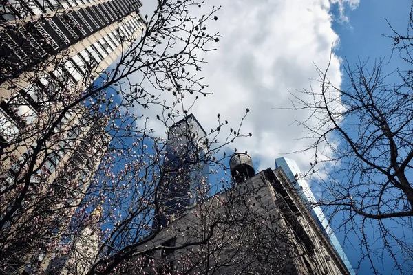 Manhattan Binada Üst Kısmında Tankı New York Şehrinin Kentsel Peyzaj — Stok fotoğraf