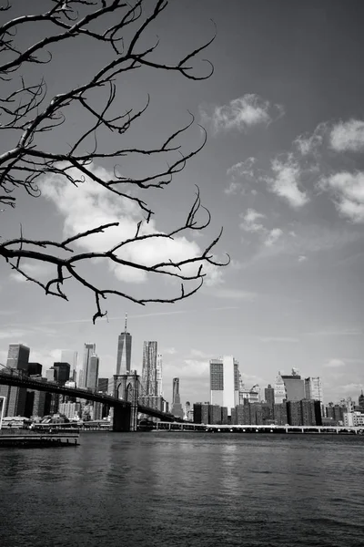 Brooklyn Bridge New York City Skyline Panoramic Spring View Black — Stock Photo, Image