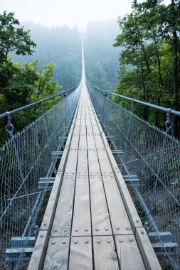 Geierlay asma köprü Almanya