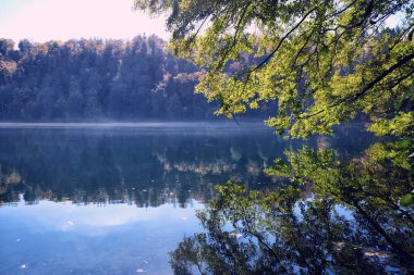 Gemunder Maar volkanik lakegemunder Maar volkanik krater gölü Almanya