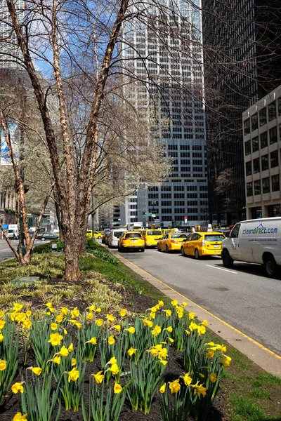 Sárga taxik New Yorkban — Stock Fotó