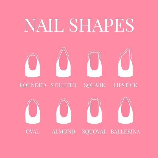 Ensemble Formes Ongles Avec Contours Ongles Différentes Formes Sur Fond — Image vectorielle