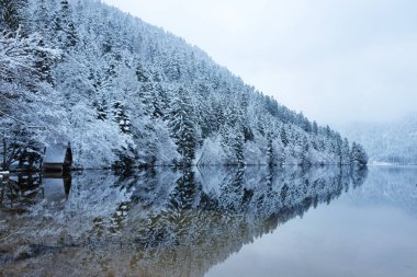 Kışın karlı orman Longemer gölde yansıyan