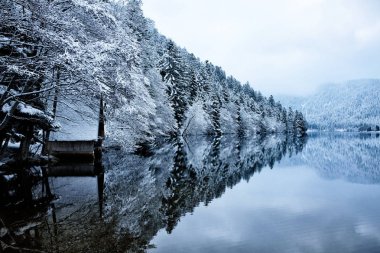 Kışın karlı orman Longemer gölde yansıyan