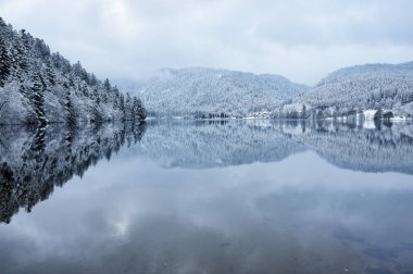 Kışın karlı orman Longemer gölde yansıyan