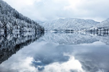 Kışın karlı orman Longemer gölde yansıyan