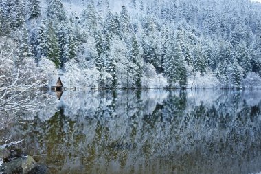Kışın karlı orman Longemer gölde yansıyan