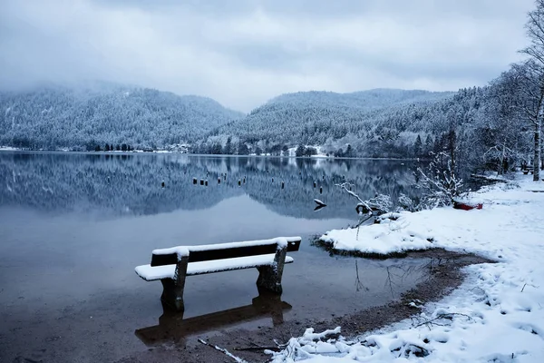 Foresta innevata invernale riflessa nel lago Longemer — Foto Stock