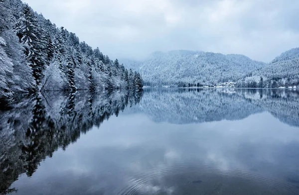 Bosque nevado de invierno reflejado en el lago Longemer — Foto de Stock