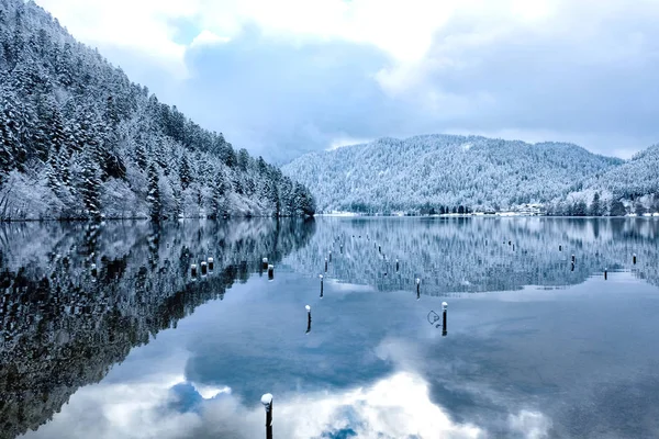 Foresta innevata invernale riflessa nel lago Longemer — Foto Stock