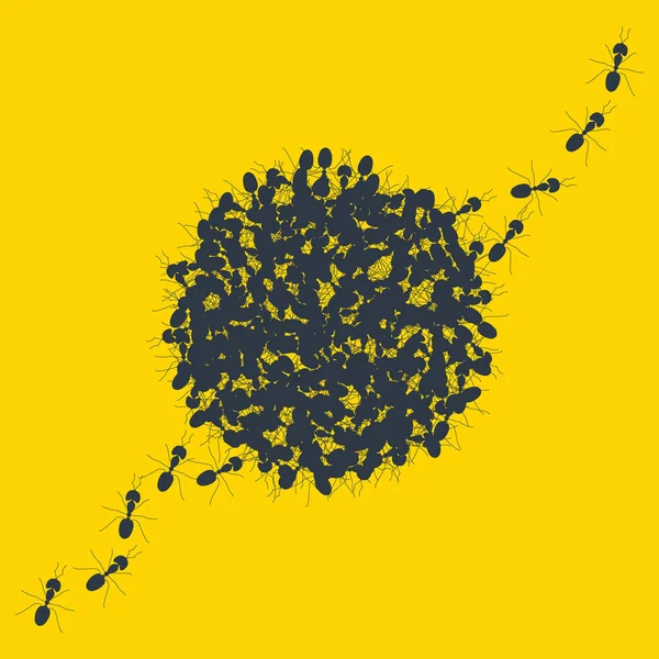 Colonia di formiche marcianti banner contorno su sfondo giallo — Vettoriale Stock