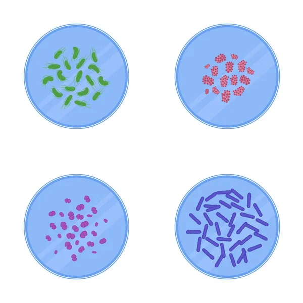 Vista microscopica dei batteri nelle capsule di Petri — Vettoriale Stock