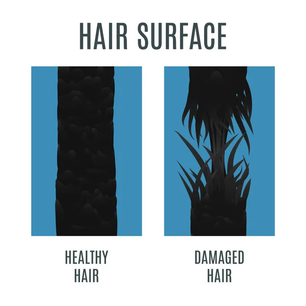 Υγιή και σπάσιμο κατεστραμμένη επιφάνεια των μαλλιών infographics — Διανυσματικό Αρχείο