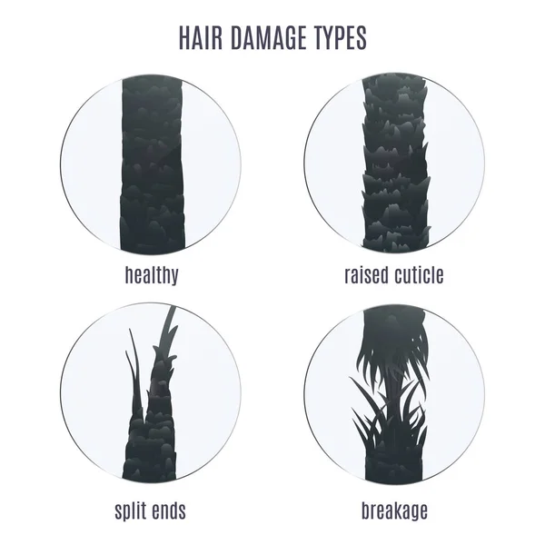 Типы повреждений волос, установленные под микроскопом — стоковый вектор