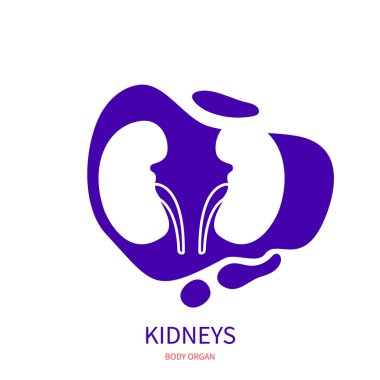 İnsan böbrekleri vücut organı silueti resim simgesi 