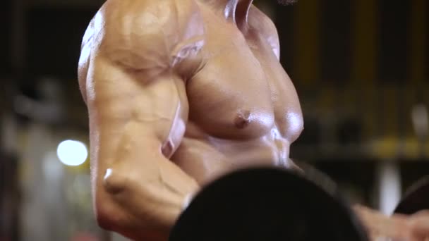 Homme Athlétique Effectue Exercice Pour Les Biceps Avec Haltère — Video