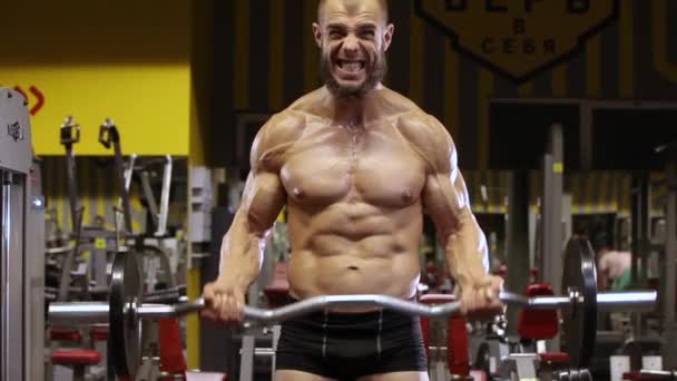 Atletický Muž Provádí Cvičení Biceps Barmanem — Stock video
