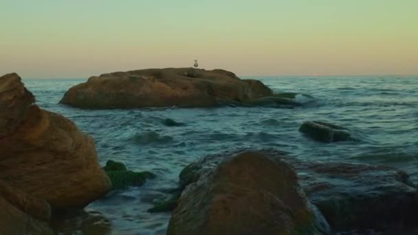 Ηλιόλουστη Μαύρη Θάλασσα Ακτή Πέτρες — Αρχείο Βίντεο