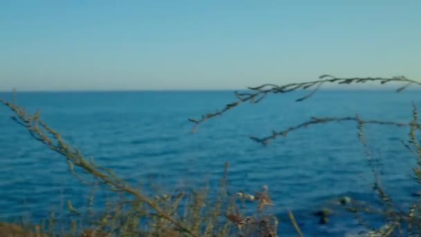 Ηλιόλουστη Μαύρη Θάλασσα Ακτή Πέτρες — Αρχείο Βίντεο