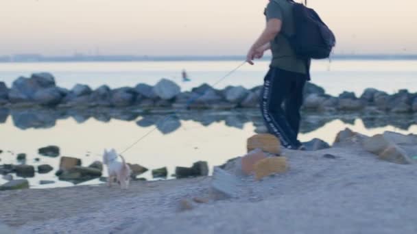 Batı Highland Beyaz Teriyeri ile sahil boyunca yürüyen bir adam var. — Stok video