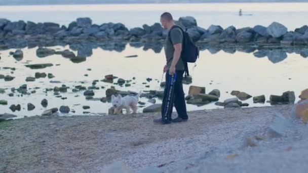 En man går längs stranden med en West Highland White Terrier — Stockvideo