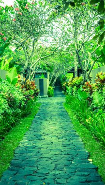 Güzel taze yeşil çalılar bazı kırmızı çiçekli çit. Bu bir yana yol