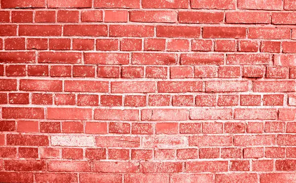 Coral Stone Bricks Row Can Used Background Place Design — Stock Photo, Image