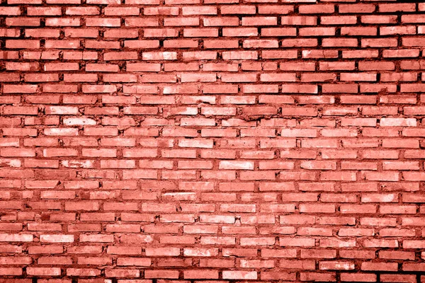 Toned Coral Color Brick Wall Texture Grunge Background Place Your — Stock Photo, Image