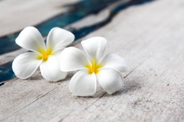 Mavi cam ile ahşap dokulu arka plan plumeria çiçekler.