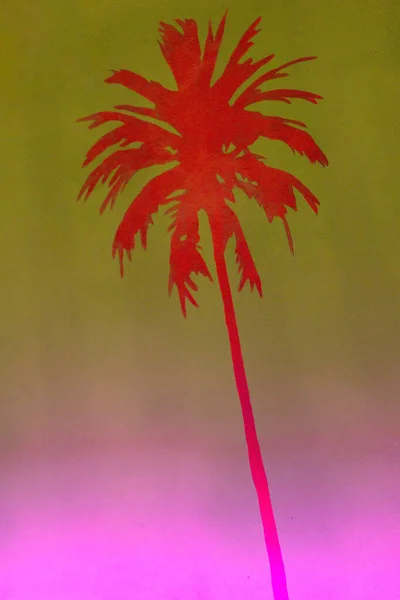 Tropische Palme Rosa Und Lila Neonlicht Auf Grünem Hintergrund Trendiges — Stockfoto
