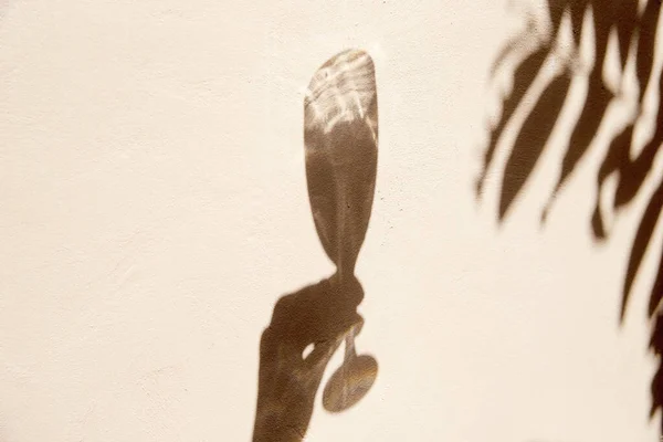 一只手拿着酒杯在墙上用棕榈叶做的影子 夏季行动的概念 免版税图库图片
