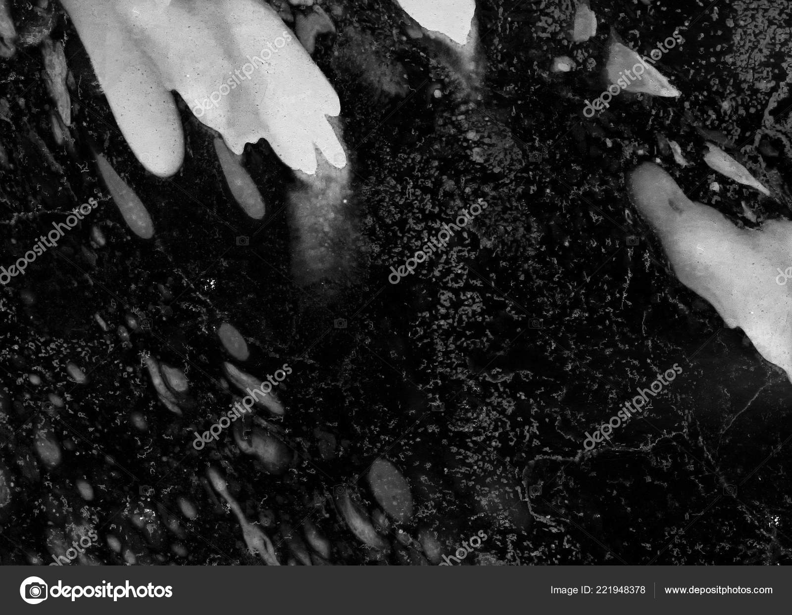 アブストラクトインク背景 大理石のスタイル 白紙に黒塗りのストロークテクスチャ ウェブとゲームのデザインのための壁紙 グランジ泥アート ペンジュースのマクロ画像 ダークスミア ストック写真 C N3sh Gmail Com