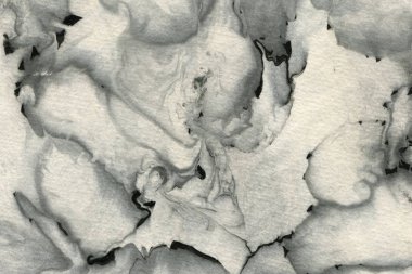 Soyut siyah mürekkep lekesi. Suluboya kağıdına Çin mürekkep arkaplanı. 