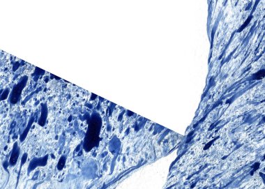 Yaratıcı soyut el çekilmiş yağlı boya. Kontur dokusu tuval üzerine boya. İçin oyun ve web tasarım duvar kağıdı. Grunge arka plan. Makro resim sanat. Modern sanat. Çağdaş sanat.