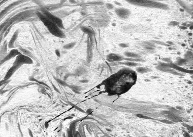 Soyut mürekkep arkaplanı. Mermer tarzı. Beyaz kağıda siyah boya dokusu. Ağ ve oyun tasarımı için duvar kağıdı. Grunge çamur sanatı. Kalem suyunun makro resmi. Koyu Smear