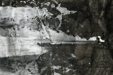 Soyut mürekkep arka plan. Mermer tarzı. Beyaz kağıt üzerinde siyah boya kontur dokusu. Grunge çamur sanat. Görüntüyü spackling yapıştırın. Web tasarım için guaş duvar kağıdı. Alçıpan çamur sanat. Tablomsu plaste