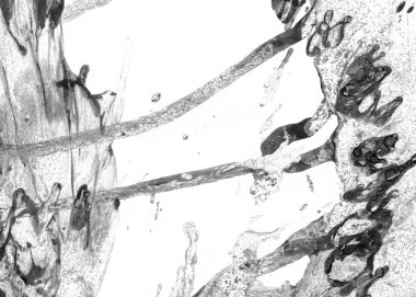 Yaratıcı soyut el çekilmiş yağlı boya. Kontur dokusu tuval üzerine boya. İçin oyun ve web tasarım duvar kağıdı. Grunge arka plan. Makro resim sanat. Modern sanat. Çağdaş sanat.