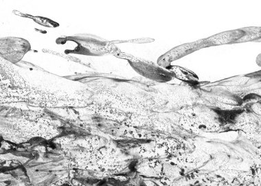 Yaratıcı soyut el çekilmiş yağlı boya. Kontur dokusu tuval üzerine boya. İçin oyun ve web tasarım duvar kağıdı. Grunge arka plan. Makro resim sanat. Modern sanat. Çağdaş sanat.