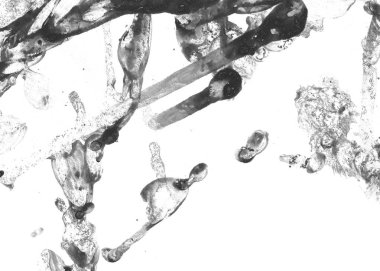 Soyut mürekkep arkaplanı. Mermer tarzı. Beyaz kağıda siyah boya dokusu. Ağ ve oyun tasarımı için duvar kağıdı. Grunge çamur sanatı. Kalem suyunun makro resmi. Koyu Smear