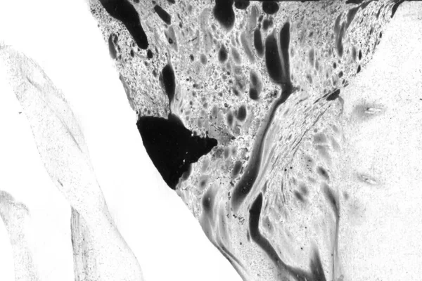 Абстрактный Чернильный Фон Мраморный Стиль Текстура Черного Штриха Белой Бумаге — стоковое фото