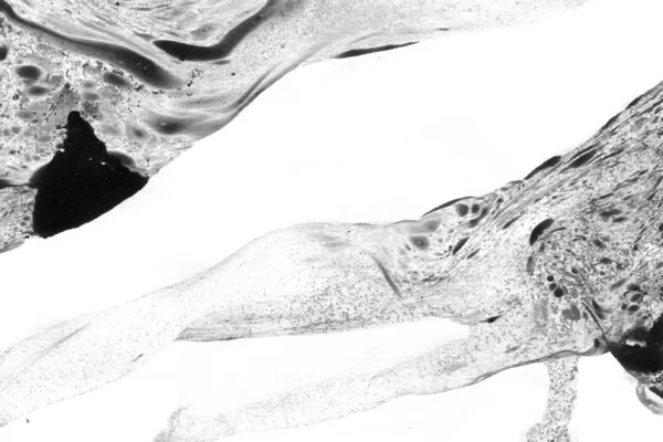 노골적 스타일 페인트 텍스처에 디자인을 페이퍼 예술을 익힌다 쥬스의 매크로 — 스톡 사진