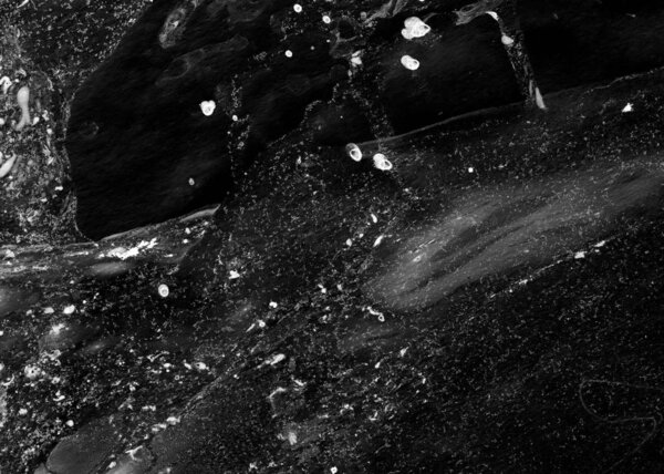 Abstract ink background. Marble style. Black paint stroke texture on white paper. Wallpaper for web and game design. Grunge mud art. Macro image of pen juice. Dark Smear