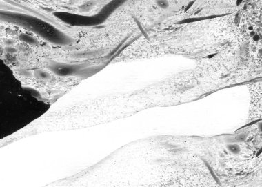 Soyut mürekkep arkaplanı. Mermer tarzı. Beyaz kağıda siyah boya dokusu. Ağ ve oyun tasarımı için duvar kağıdı. Grunge çamur sanatı. Kalem suyunun makro resmi. Koyu Smear