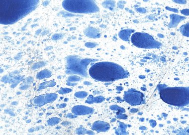 Yaratıcı soyut el çekilmiş yağlı boya. Kontur dokusu tuval üzerine boya. İçin oyun ve web tasarım duvar kağıdı. Grunge arka plan. Makro resim sanat. Modern sanat. Çağdaş sanat.