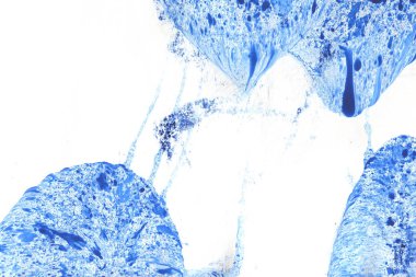 Yaratıcı soyut el çekilmiş yağlı boya. Kontur dokusu tuval üzerine boya. İçin oyun ve web tasarım duvar kağıdı. Grunge arka plan. Makro resim sanat. Modern sanat. Çağdaş sanat.