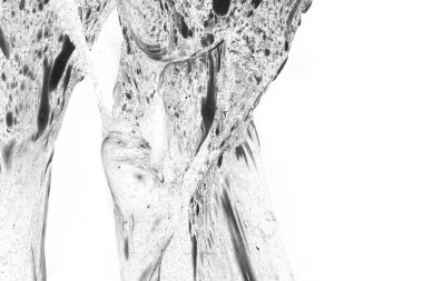 Soyut mürekkep arkaplanı. Mermer tarzı. Beyaz kağıda siyah boya dokusu. Ağ ve oyun tasarımı için duvar kağıdı. Grunge çamur sanatı. Kalem suyunun makro resmi. Koyu Smear