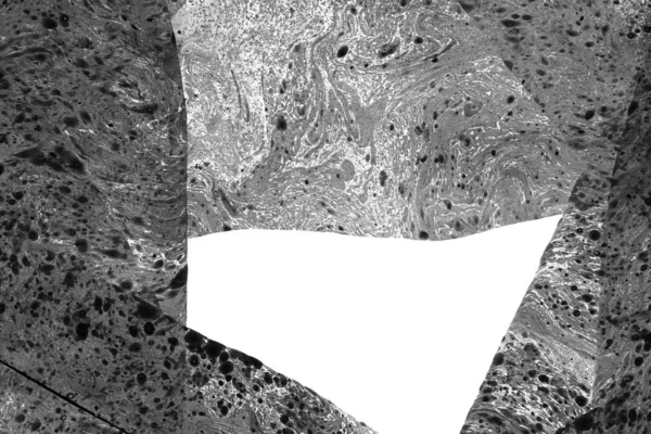 Абстрактный Чернильный Фон Мраморный Стиль Текстура Черного Штриха Белой Бумаге — стоковое фото