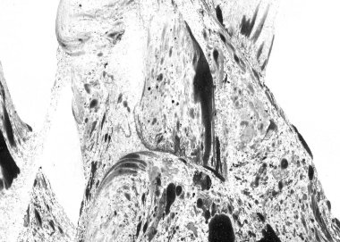 Soyut mürekkep arkaplanı. Mermer tarzı. Beyaz kağıda siyah boya dokusu. Ağ ve oyun tasarımı için duvar kağıdı. Grunge çamur sanatı. Kalem suyunun makro resmi. Koyu Smear