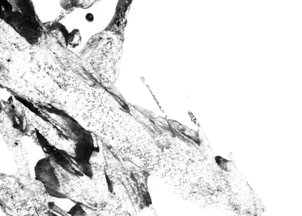 Abstraktní Pozadí Inkoustu Mramorový Styl Černobílá Textura Tahu Barvy Tapety — Stock fotografie